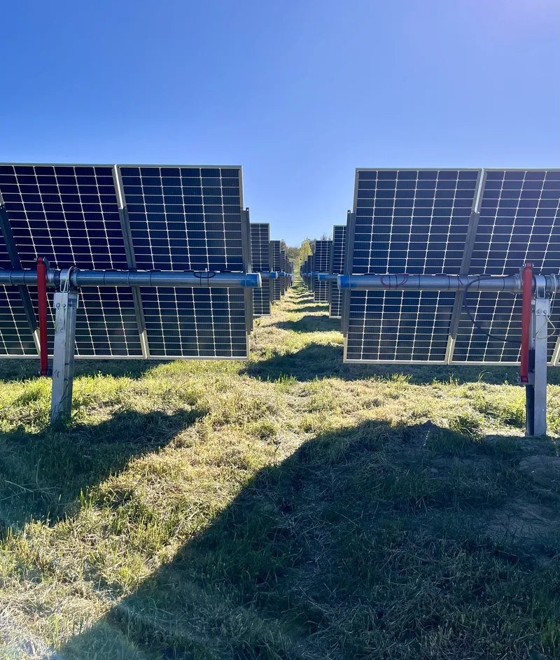 Pasillo entre hileras de paneles con seguidor solar completamente despejado tras el desbroce
