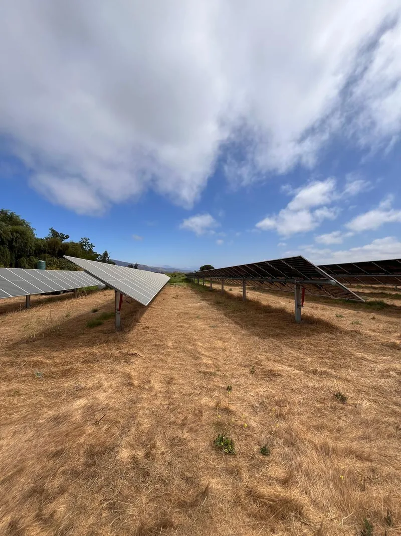 Paneles con seguidor en un campo con la vegetación cortada y controlada