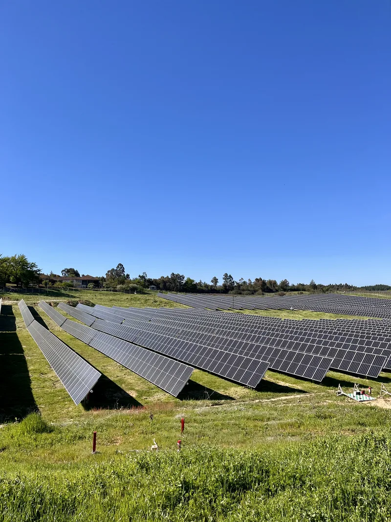 Amplio campo de paneles solares sobre pasto verde